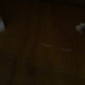 Meet your Posher, Barbara